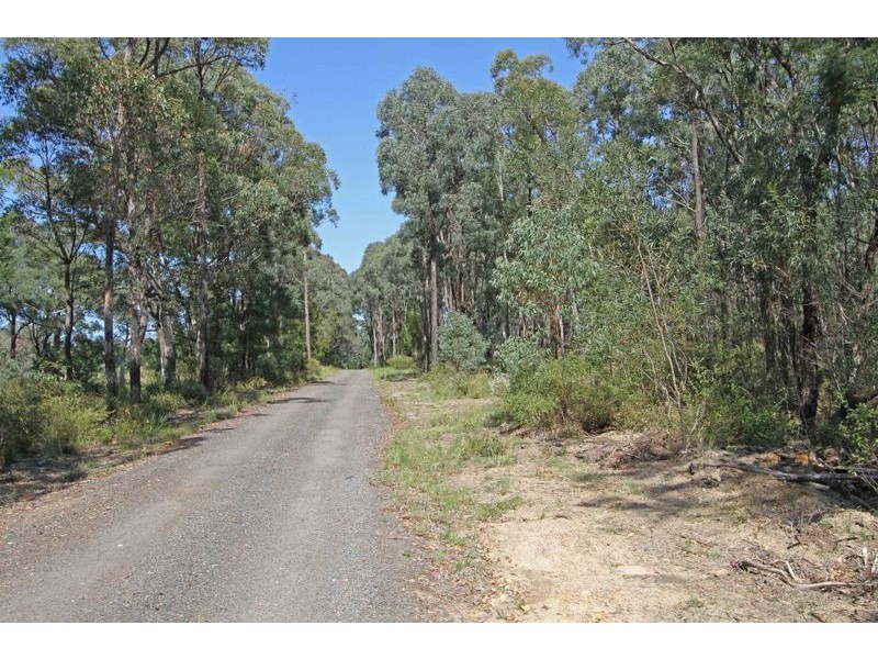 295 Wilton Road, Wilton NSW 2571