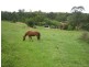 1490 Remembrance Drive, Picton NSW 2571