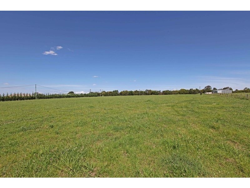 19 Lyrebird Road, Pheasants Nest NSW 2574