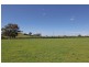 105 Pheasants Nest Road, Pheasants Nest NSW 2574