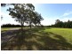 137 Lyrebird Road, Pheasants Nest NSW 2574