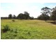 137 Lyrebird Road, Pheasants Nest NSW 2574