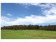 50 Sugarloaf Creek Road, Pheasants Nest NSW 2574