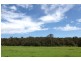 50 Sugarloaf Creek Road, Pheasants Nest NSW 2574