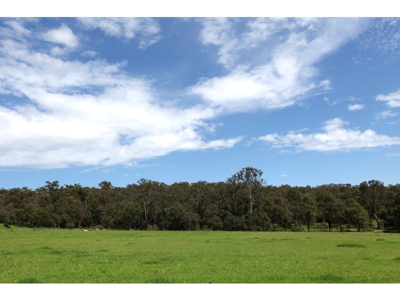 50 Sugarloaf Creek Road, Pheasants Nest NSW 2574