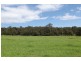 50 Sugarloaf Creek Road, Pheasants Nest NSW 2574