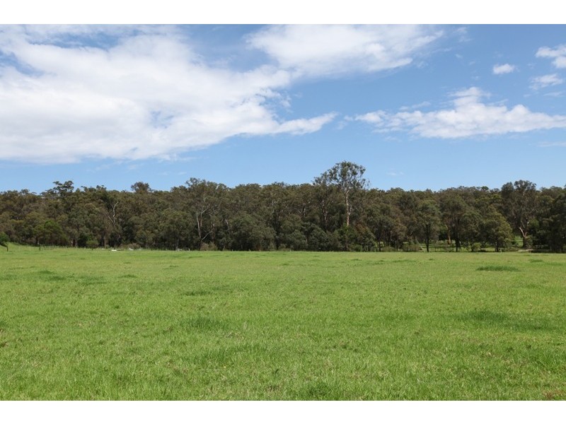 50 Sugarloaf Creek Road, Pheasants Nest NSW 2574