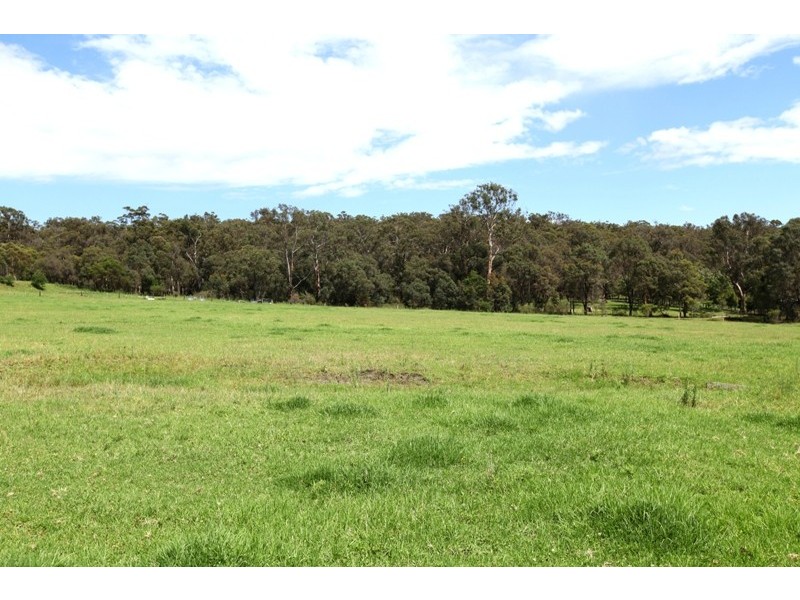 50 Sugarloaf Creek Road, Pheasants Nest NSW 2574