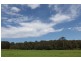 50 Sugarloaf Creek Road, Pheasants Nest NSW 2574