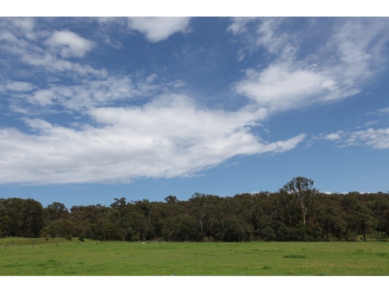 50 Sugarloaf Creek Road, Pheasants Nest NSW 2574