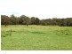 50 Sugarloaf Creek Road, Pheasants Nest NSW 2574