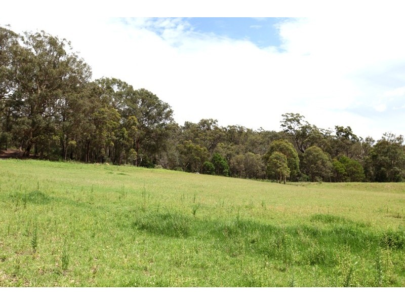 50 Sugarloaf Creek Road, Pheasants Nest NSW 2574