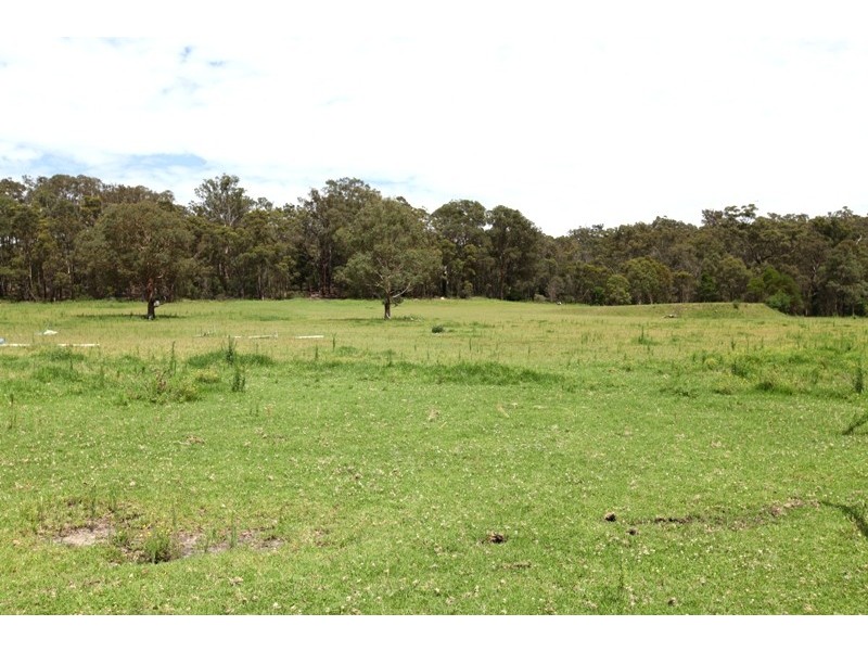 50 Sugarloaf Creek Road, Pheasants Nest NSW 2574