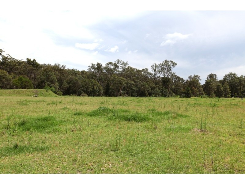50 Sugarloaf Creek Road, Pheasants Nest NSW 2574
