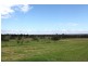 304 Pheasants Nest Road, Pheasants Nest NSW 2574