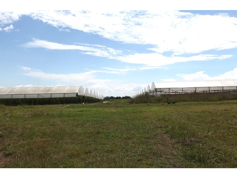 304 Pheasants Nest Road, Pheasants Nest NSW 2574