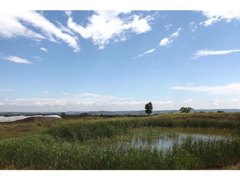 304 Pheasants Nest Road, Pheasants Nest NSW 2574