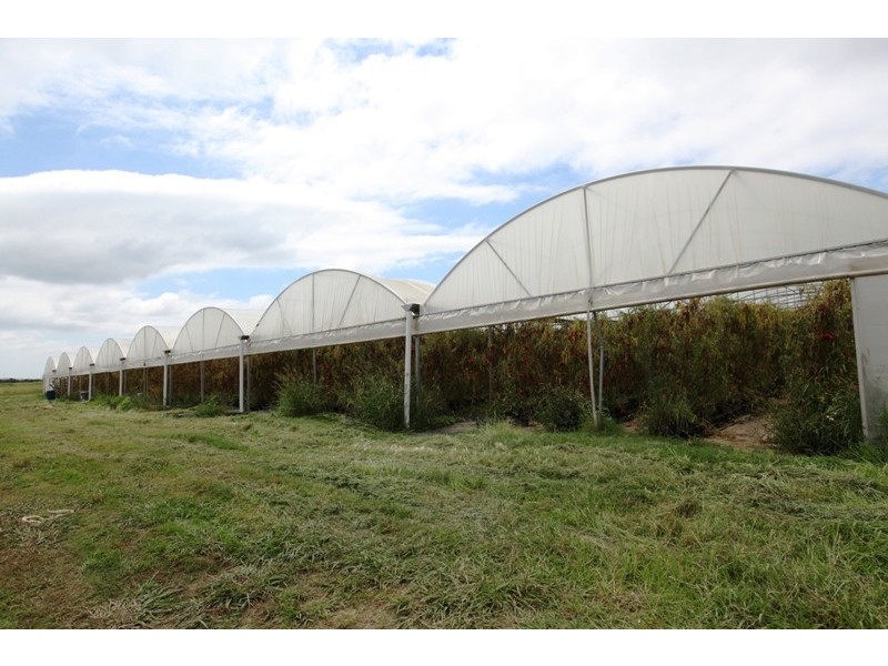 304 Pheasants Nest Road, Pheasants Nest NSW 2574