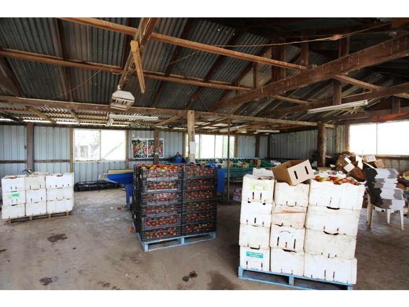 304 Pheasants Nest Road, Pheasants Nest NSW 2574