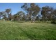 95 Burns Road, Thirlmere NSW 2572