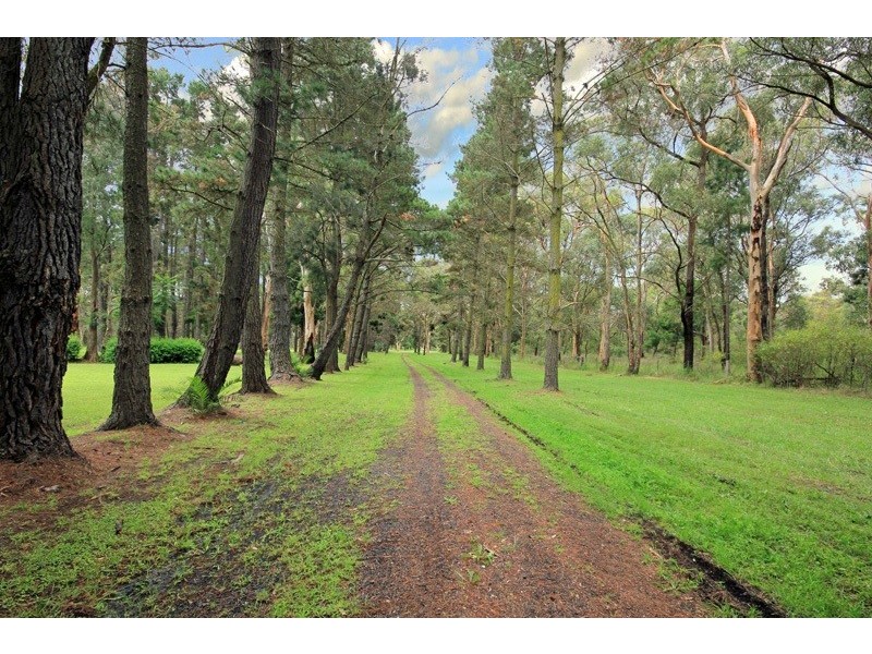 89 Scroggies Road, Thirlmere NSW 2572