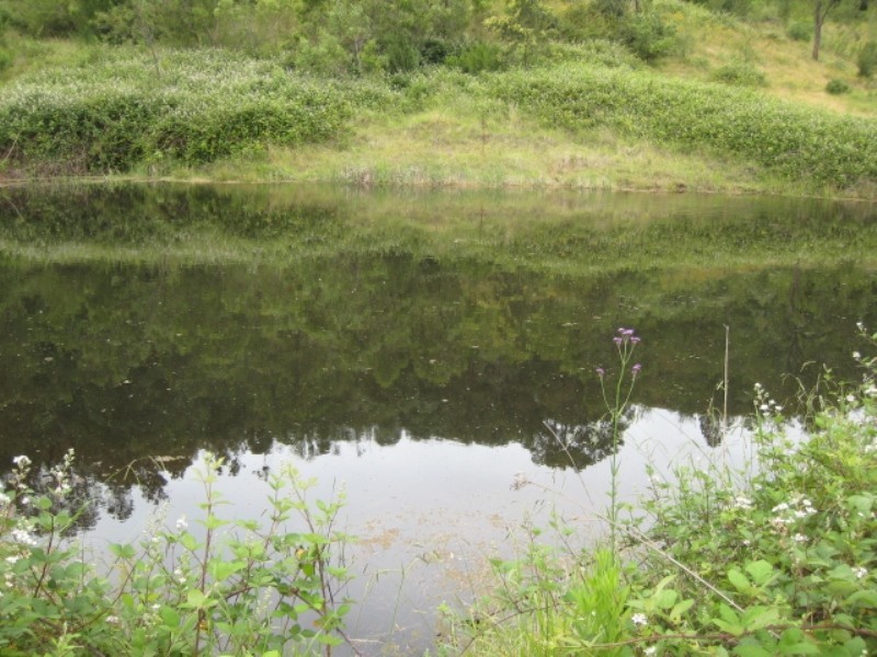 1490 Remembrance Driveway, Picton NSW 2571