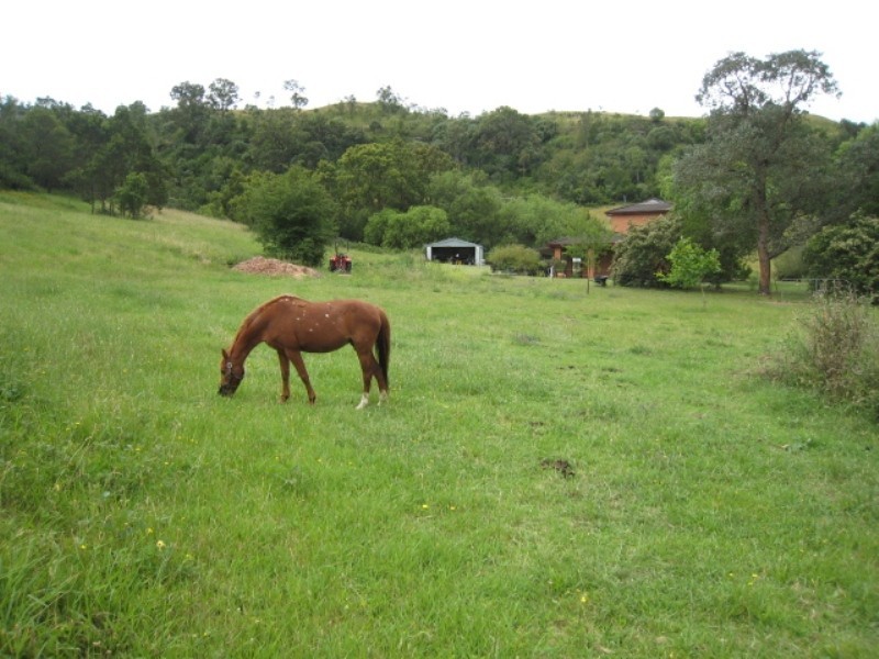 1490 Remembrance Driveway, Picton NSW 2571