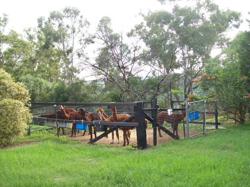 155 Rotherwood Road, Razorback NSW 2571