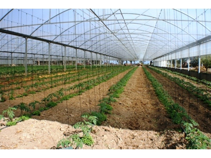 20 Edinburgh Road, Tahmoor NSW 2573