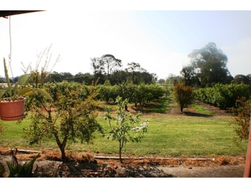 20 Edinburgh Road, Tahmoor NSW 2573