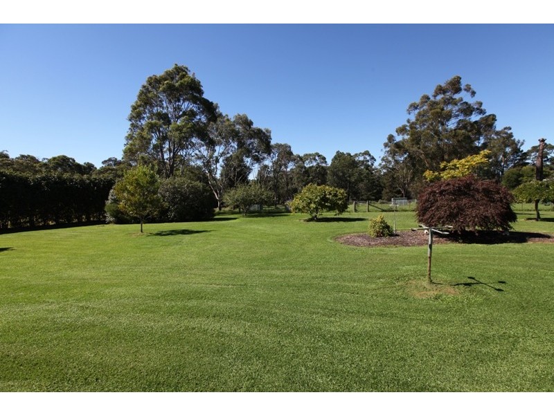 61 Kundabung Street, The Oaks NSW 2570