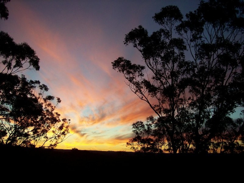 155 Rotherwood Road, Razorback NSW 2571