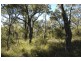 Lot 3 Esen Way, Pheasants Nest NSW 2574