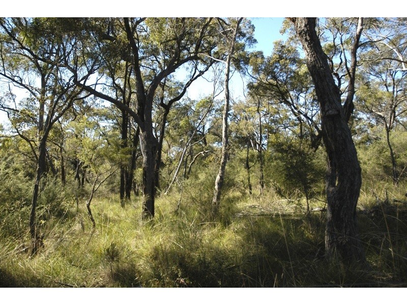 Lot 3 Esen Way, Pheasants Nest NSW 2574