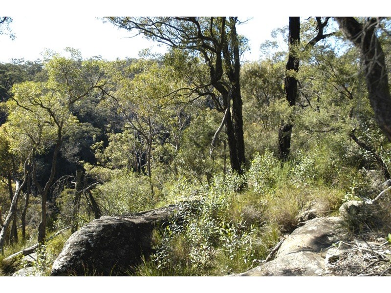 Lot 3 Esen Way, Pheasants Nest NSW 2574