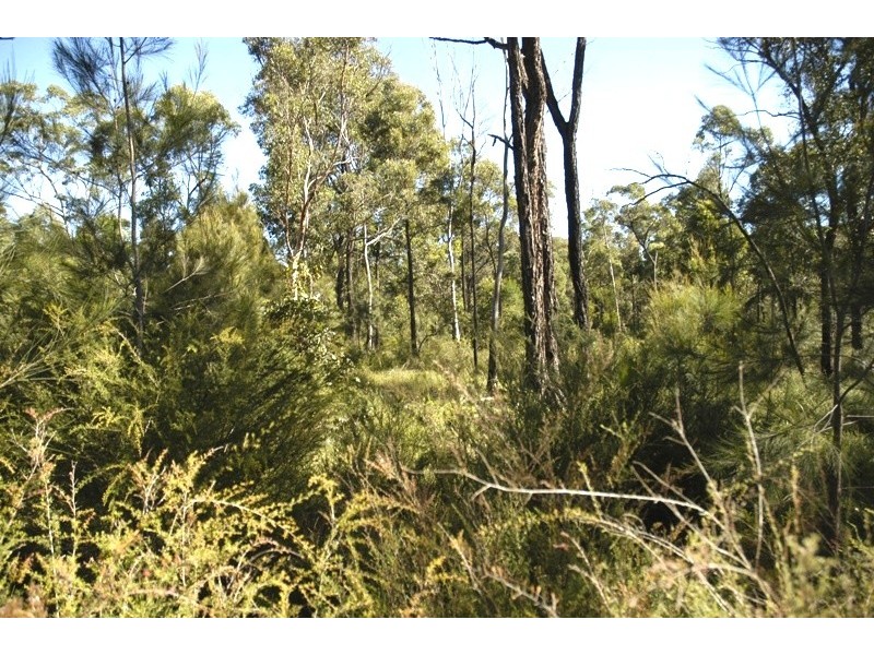 Lot 5 Esen Way, Pheasants Nest NSW 2574