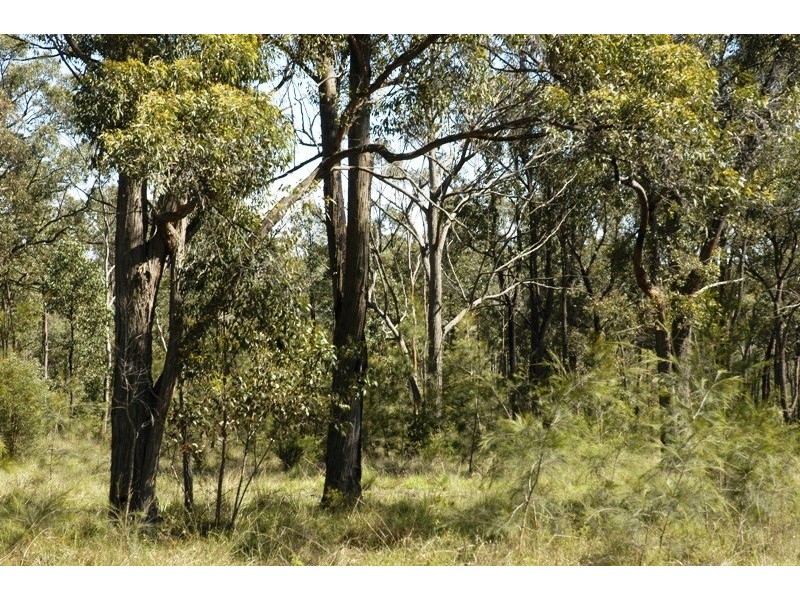 Lot 5 Esen Way, Pheasants Nest NSW 2574