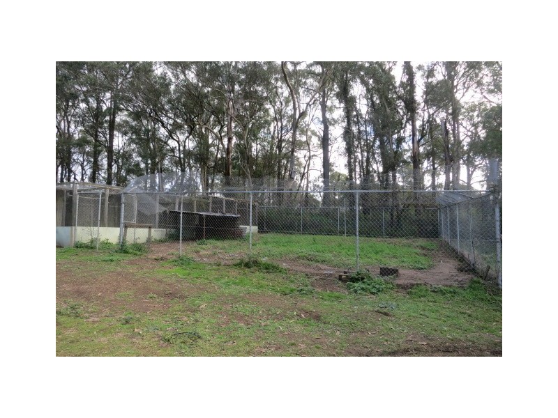100 Pheasants Nest Road, Pheasants Nest NSW 2574