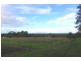 100 Pheasants Nest Road, Pheasants Nest NSW 2574