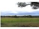 100 Pheasants Nest Road, Pheasants Nest NSW 2574