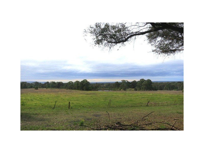 100 Pheasants Nest Road, Pheasants Nest NSW 2574