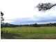 100 Pheasants Nest Road, Pheasants Nest NSW 2574
