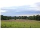 100 Pheasants Nest Road, Pheasants Nest NSW 2574