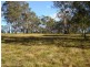 Pheasants Nest NSW 2574