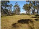 Pheasants Nest NSW 2574