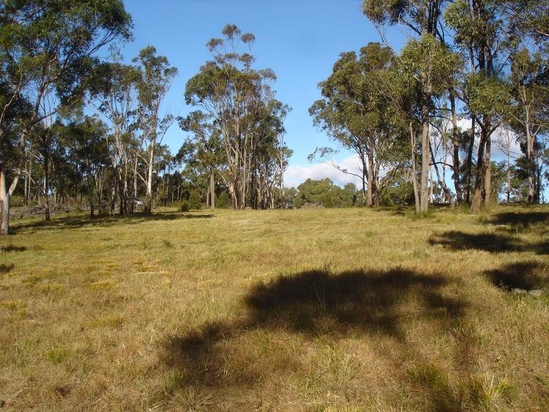 Pheasants Nest NSW 2574