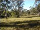 Pheasants Nest NSW 2574