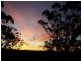 155 Rotherwood Road, Razorback NSW 2571