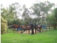 155 Rotherwood Road, Razorback NSW 2571