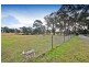 380 Pheasants Nest Road, Pheasants Nest NSW 2574